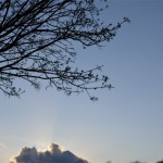 Landscape Silhouette
