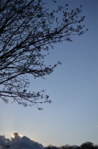 Silhouette 2