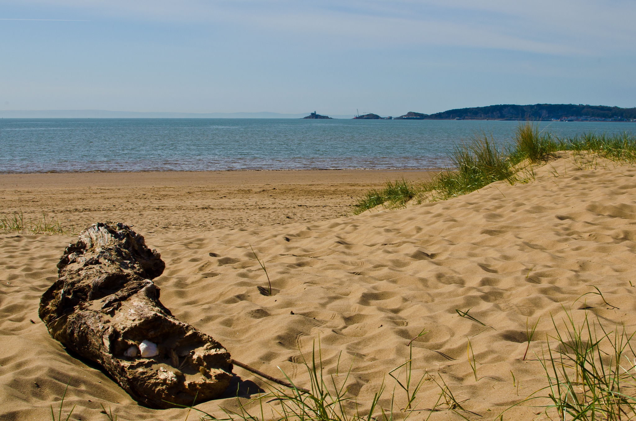 Driftwood