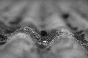DSC_4606